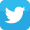 twitter_icon